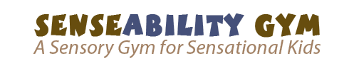 SenseAbility Gym - A Sensory Gym for Sensational Kids